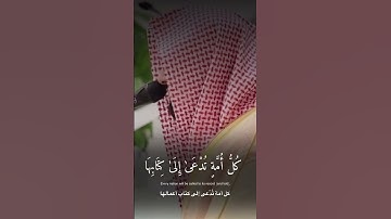 تلاوة من سورة الجاثية، الشيخ: ناصر القطامي.