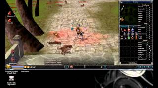 Metin2 Dmg Hack 2013