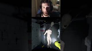 probably our best use of the signal translator ever | hmanwp on #Twitch | Lethal Company