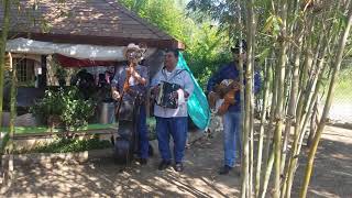 Juanka sax (La mata de sandia)