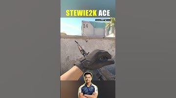 Stewie2K