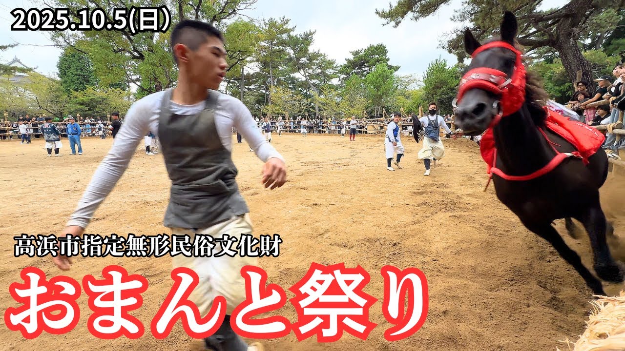 [Дух Такахамы] Фестиваль Оманто 2025 | Осенние конные прогулки 🔥Фестиваль огненных лошадей в свят...
