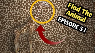 Episode 5 : Can You Find 10 Amazing Hidden Animals Which You Never Seen Before.