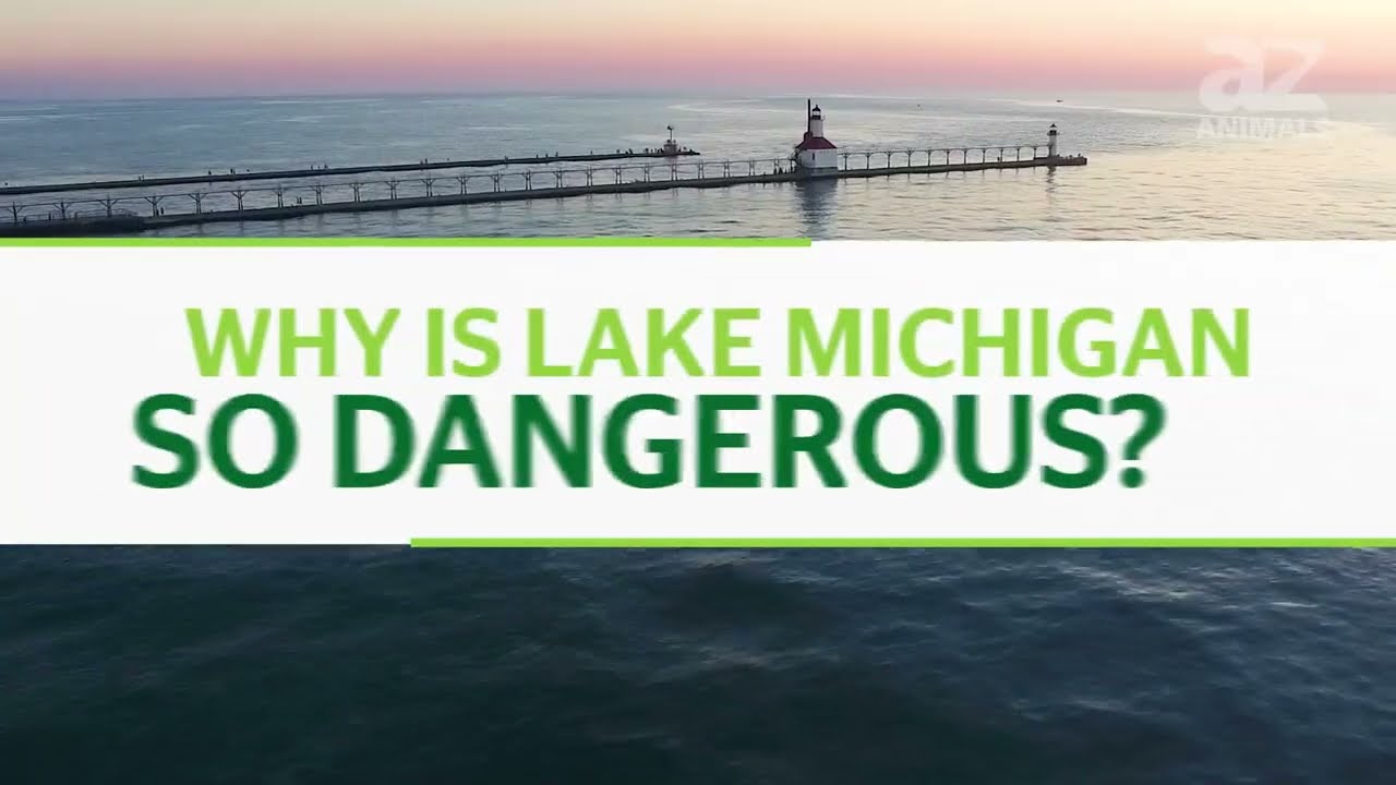 What Lives At The Bottom of Lake Michigan?