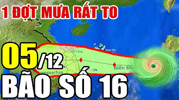 Dự báo thời tiết hôm nay và ngày mai 5/12/2025 | Dự báo thời tiết trong 3 ngày tới