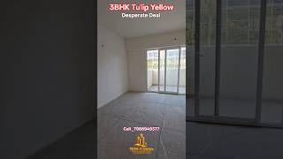 Tulip Yellow 3BHK Desperate Deal Sector 69 Gurgaon | #3bhk #tulipyellow #sale #highrise #tulip