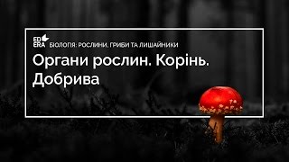Органи рослин. Корінь. Добрива (Видозміни кореня. Добрива). Органи рослин. Корінь. Добрива (Видозміни кореня. Добрива).