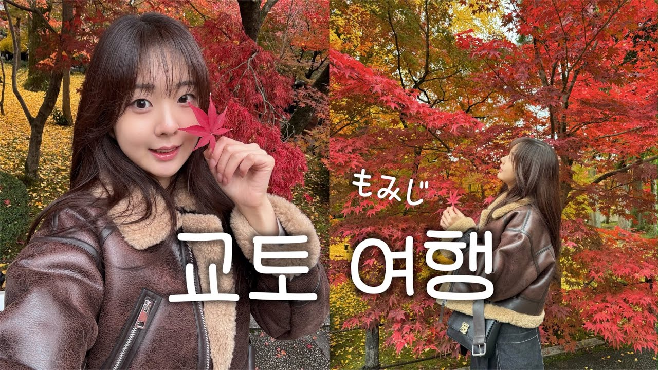 가을 교토 단풍 투어… 진짜 미쳤다🍁