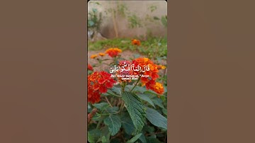 قال إنما اشكو بثي وحزني الى الله #تلاوة_خاشعة #اجمل_حالات_واتس_اب #القرآن #صوت_راحه_نفسيه#ستوريات