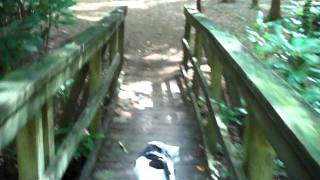 High Shoals Falls, North Georgia