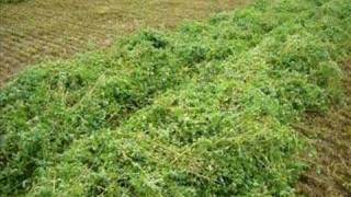 Montage Photo Luzerne 2007