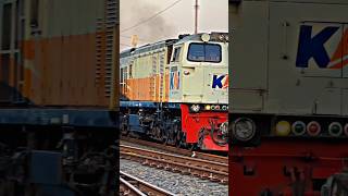 KA ARGO MURIA ‼️ BERSMA MERDUNYA LOKOMOTIF CC 206 #keretaapiindonesia #railfansindonesia #KAshorts