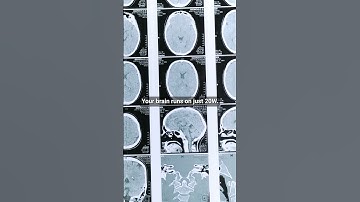 The Shocking Energy Cost of AI