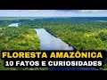 Floresta amaznica  10 fatos e curiosidades interessantes