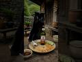 Nero the Black Cat Makes Nasi Goreng 🦐🍺 Fried Rice &amp; Beer Mukbang #shorts