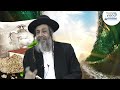 הוצאת הדיבוק כוחה של אמונה ביציאת מצרים הרב מאיר שלמה הוצאת הדיבוק כוחה של אמונה ביציאת מצרים הרב מאיר שלמה