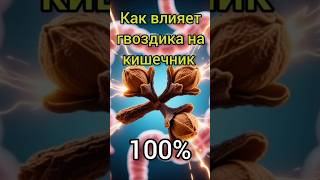 Гвоздика №1 для очищения кишечника и долголетия
