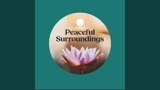 Far Soft screenshot 5