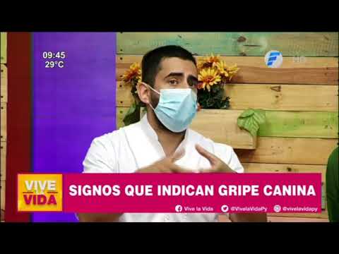 Video: Del veterinario: nueva actualización importante sobre la gripe canina