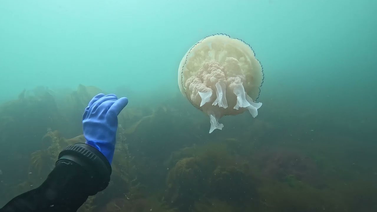 IOM Easter 2025 Fleshwick Bay