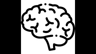 International Multidisciplinary Conference«The brain before and after birth: frontiers of cognition»