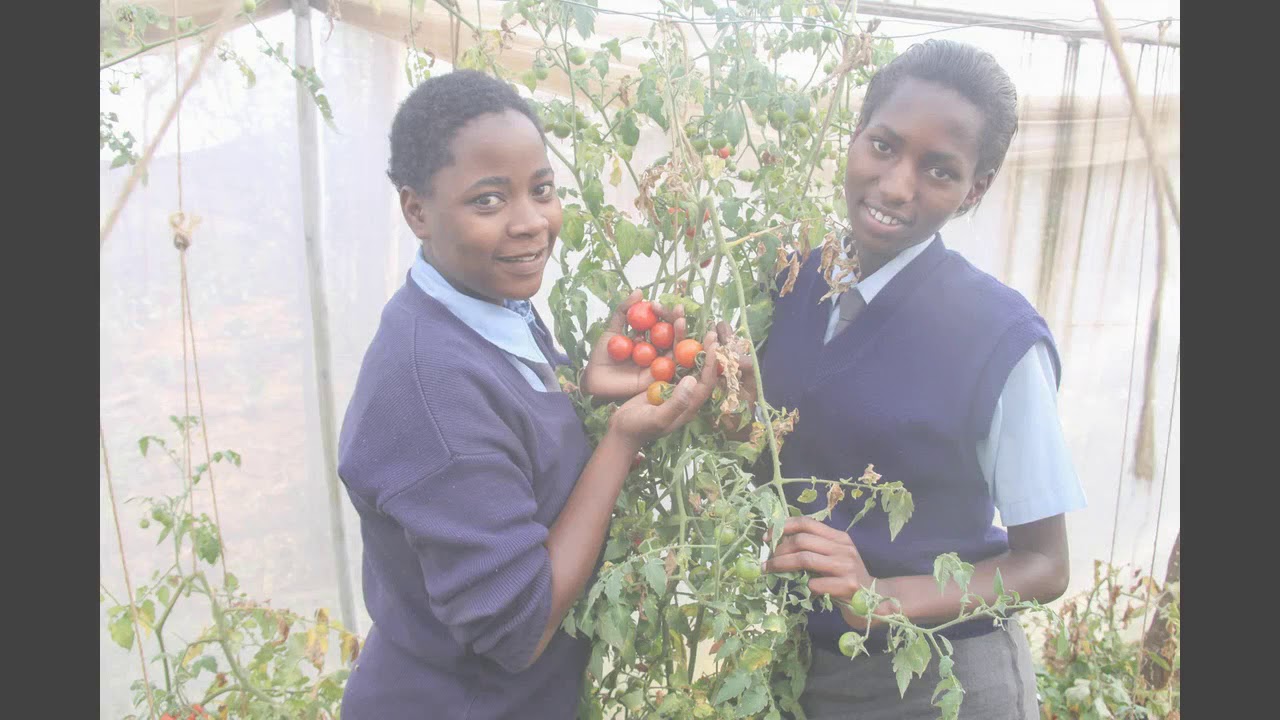 Daraja Academy Educating and Empowering Young Women