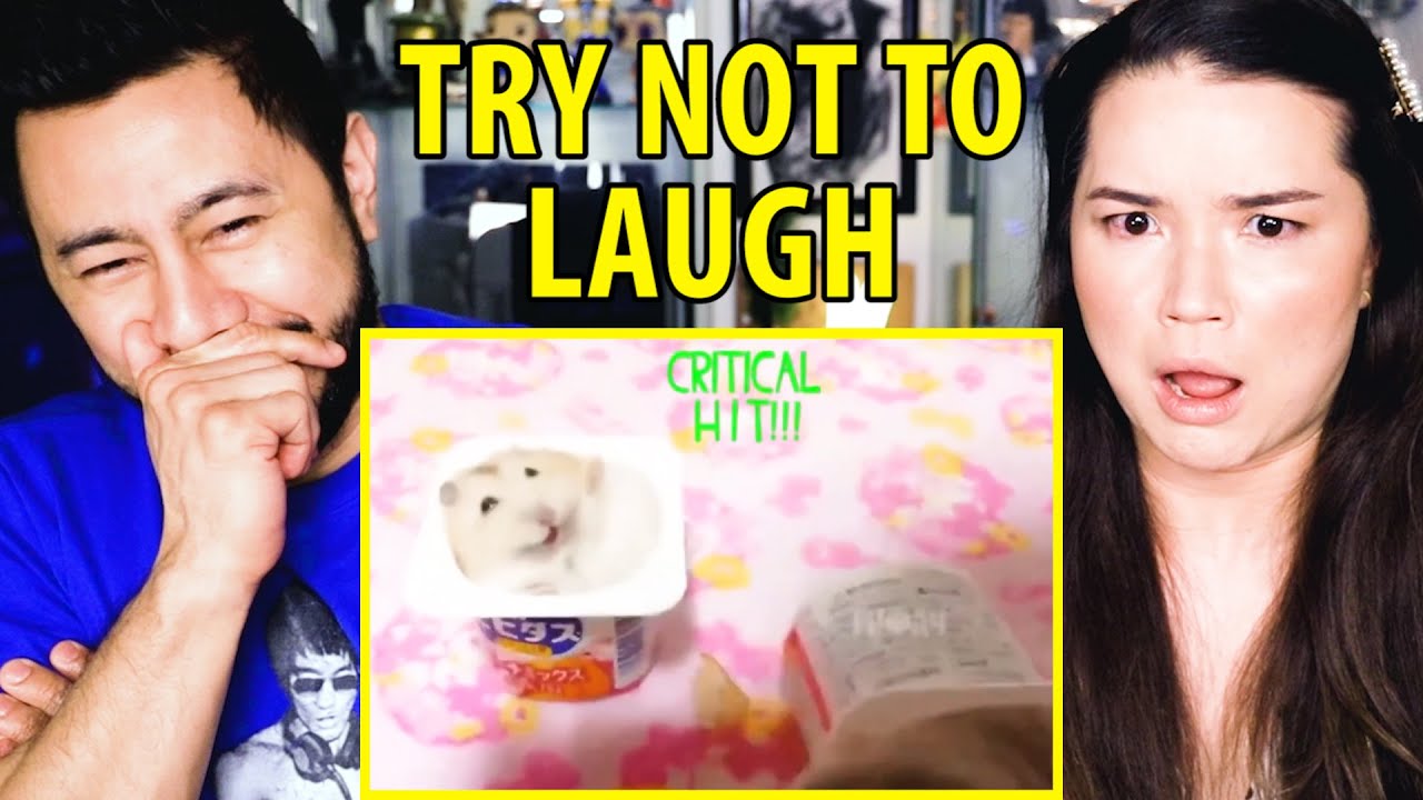 TRY NOT TO LAUGH CHALLENGE 33 | Adik The One | Reaction by Jaby Koay & Achara Kirk