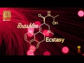 Brashlee Ecstasy Otodayo Records mp3