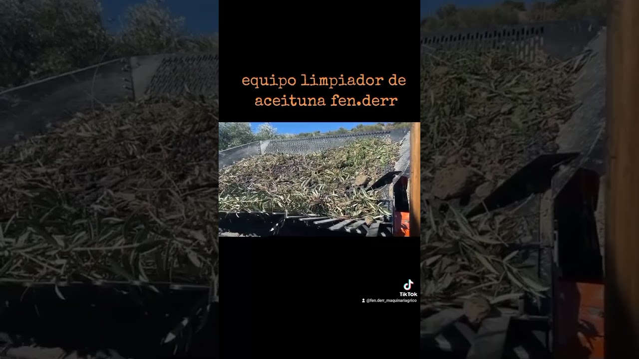 criba limpiadora de aceituna fenderr 🔝