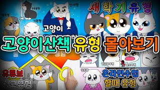 Types of Cats Binge-Watching (ENG SUB)