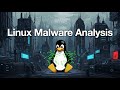 Avalon Linux Bot Malware Analysis with IDA Pro (Stream - 05/02/2026)