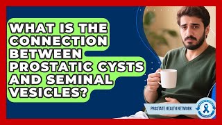 What Is The Connection Between Prostatic Cysts And Seminal Vesicles? - Prostate Health Network