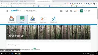 Accessing Brightspace from Home