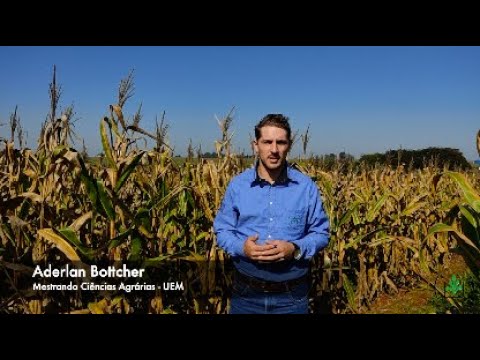 Herbicidas do Futuro - Kyojin da IHARA - Chega de ervas daninhas na lavoura  