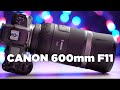 Canon RF 600mm F11 IS STM | Das leichteste Tele aller Zeiten? | Test 🏆 | deutsch