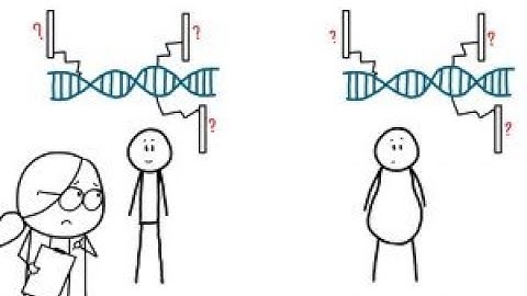 Why Inheritance Is Weirder Than We Thought ?