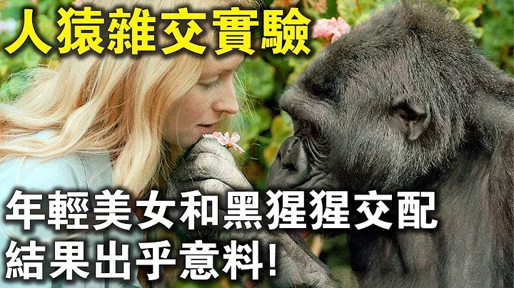 世界最恐怖“人猿杂交”实验！5名年轻美女与20只黑猩猩交配，结果，猩猩卒？ - 天天要闻