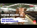 Iftlik projem  300 balkl besi hayvancl yatrm hikayesi