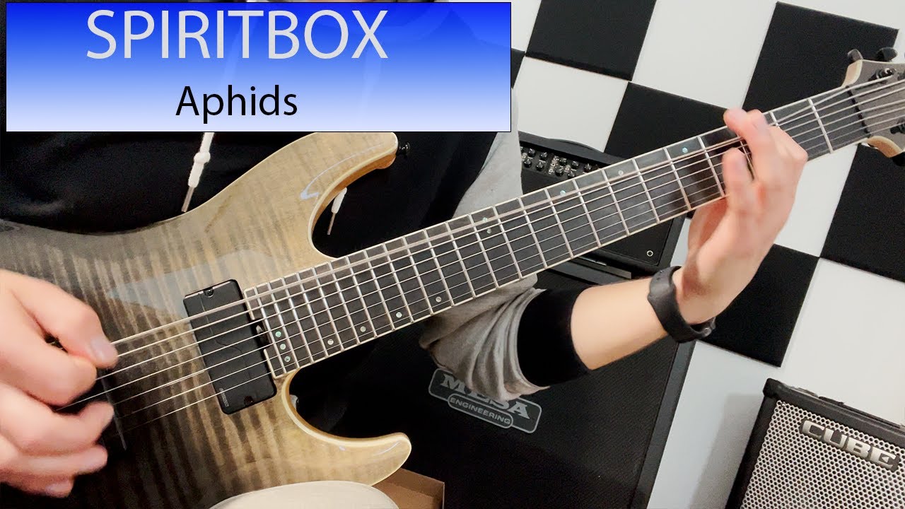 Watch Spiritbox - Aphids - Guitar Cover on YouTube Watch Spiritbox - Aphids - Guitar Cover on YouTube