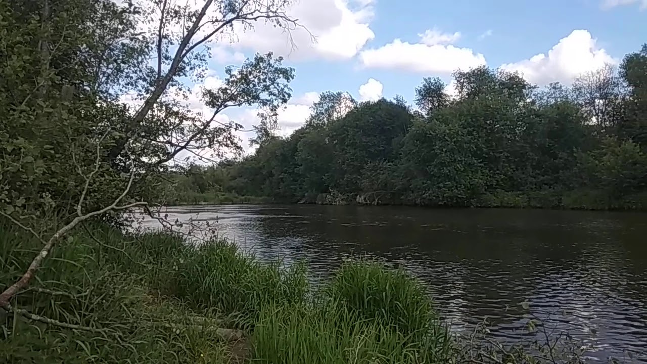 Гордо развивается стяг компании Манёвр - YouTube