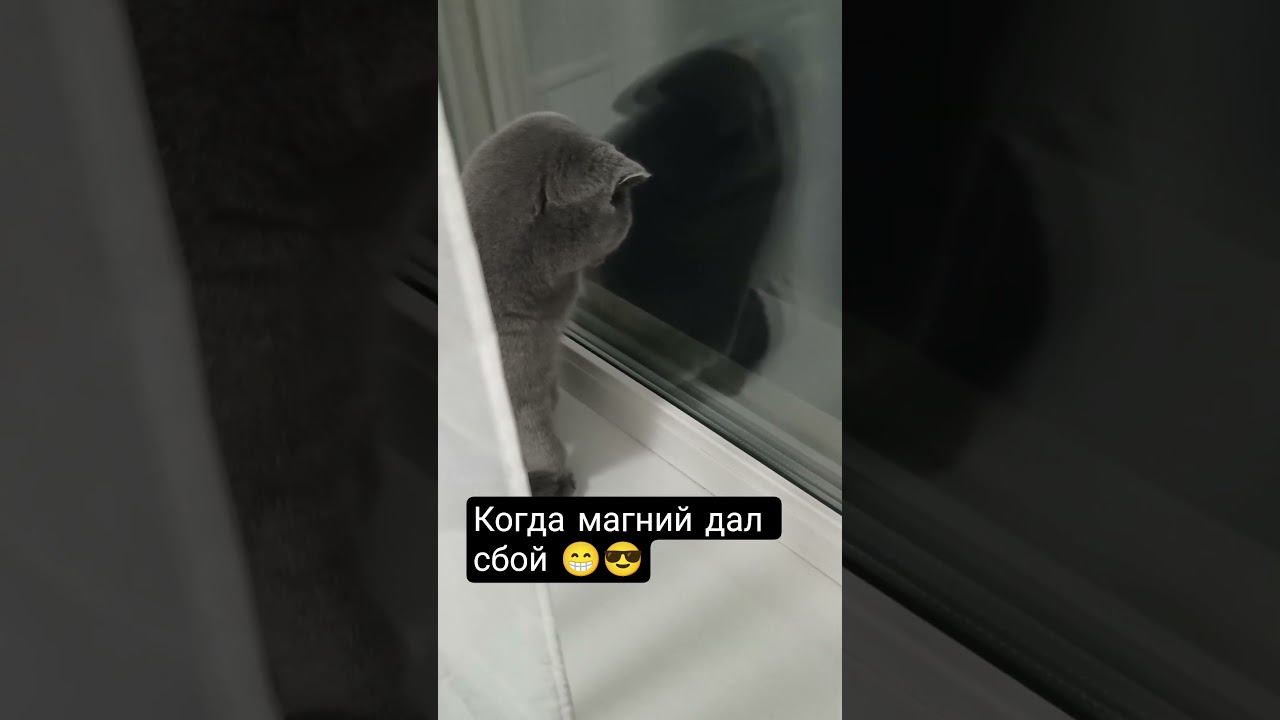 Заходи 😁😉