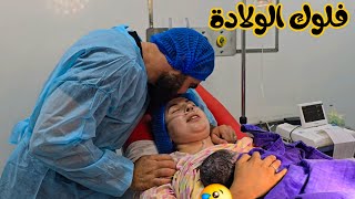 Thumbnail for فلوك الولا.دة