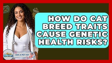 How Do Cat Breed Traits Cause Genetic Health Risks? - Ask A Pet Vet