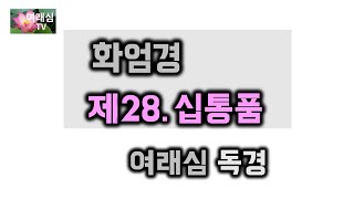 화엄경 제28.십통품(불교경전-여래심 독경)