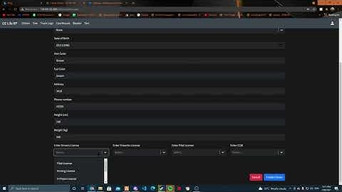 OZ Life RP Cad System
