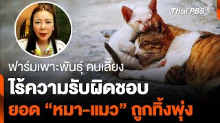 “เพาะพันธุ์-เลี้ยง” ไร้ความรับผิดชอบ ยอด “หมา-แมว” ถูกทิ้งพุ่ง | ข่าวเที่ยง | 2 มิ.ย. 67