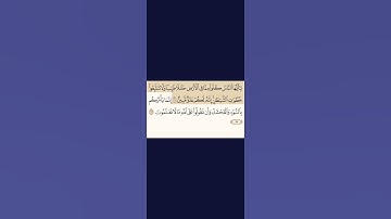 سورة البقرة الآيات 168 الى 169 تلاوة خاشعة للشيخ ماهر المعيقلي #قرآن #اكسبلور #سورة_البقرة #youtube