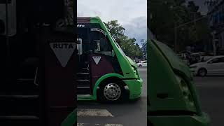 No hay respeto a las regñas de tránsito en Avenida revolución #peatones