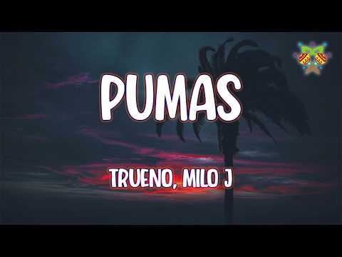 Trueno, Milo j - PUMAS ( Letra/Lyrics )