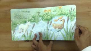 Little Lamb